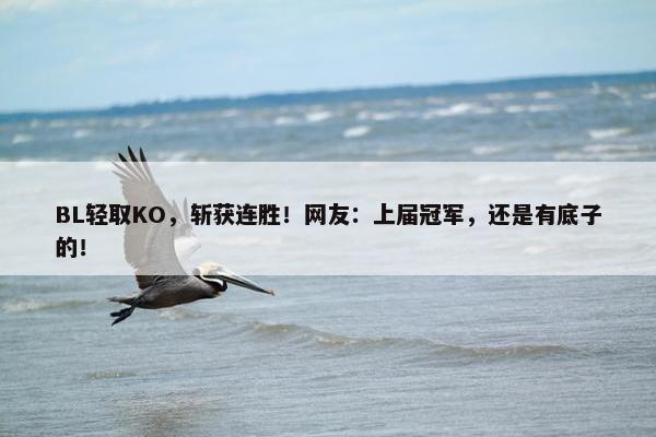 BL轻取KO，斩获连胜！网友：上届冠军，还是有底子的！