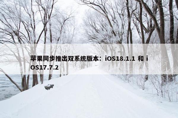 苹果同步推出双系统版本：iOS18.1.1 和 iOS17.7.2