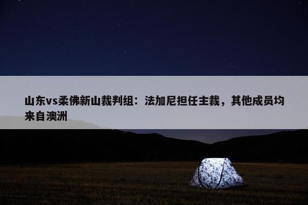 山东vs柔佛新山裁判组：法加尼担任主裁，其他成员均来自澳洲