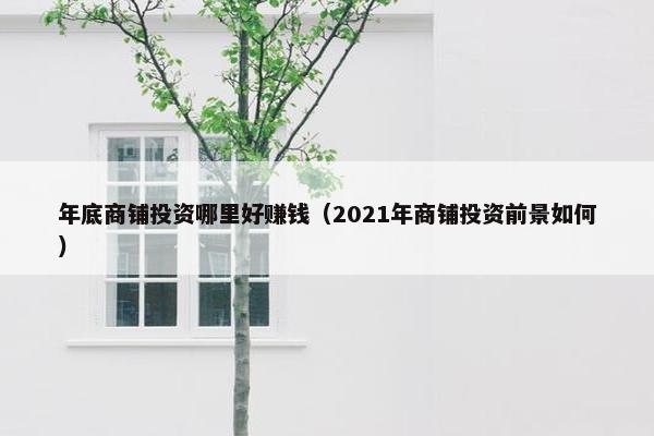 年底商铺投资哪里好赚钱（2021年商铺投资前景如何）