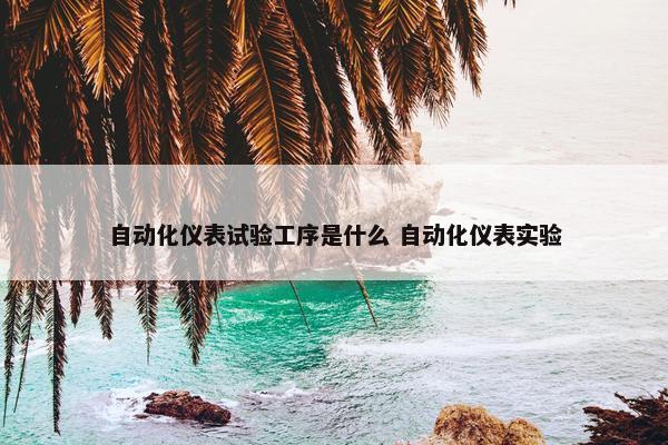 自动化仪表试验工序是什么 自动化仪表实验