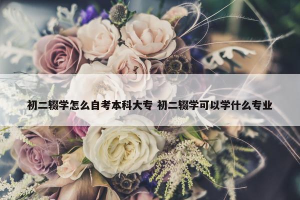 初二辍学怎么自考本科大专 初二辍学可以学什么专业