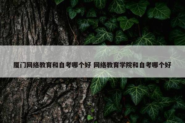 厦门网络教育和自考哪个好 网络教育学院和自考哪个好