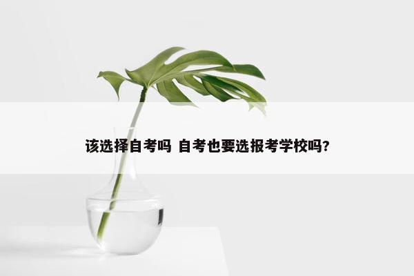 该选择自考吗 自考也要选报考学校吗?