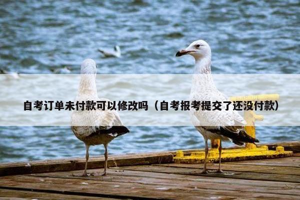 自考订单未付款可以修改吗（自考报考提交了还没付款）