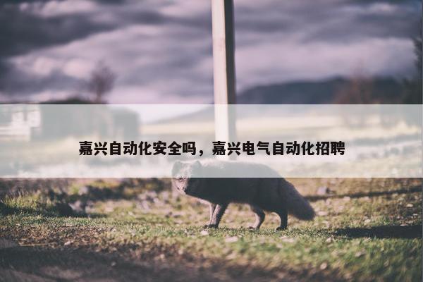 嘉兴自动化安全吗，嘉兴电气自动化招聘