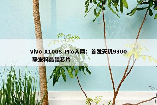 vivo X100S Pro入网：首发天玑9300 联发科最强芯片