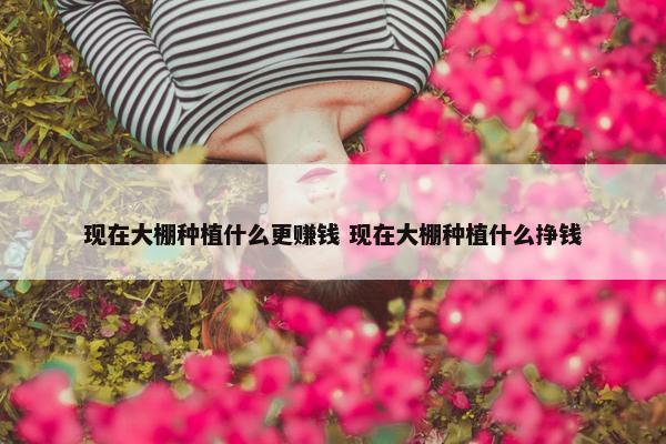 现在大棚种植什么更赚钱 现在大棚种植什么挣钱