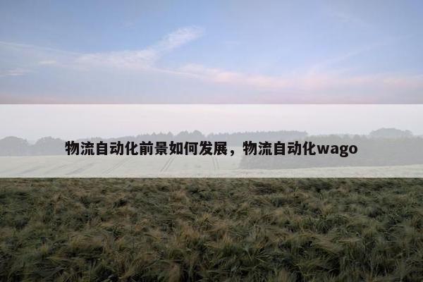 物流自动化前景如何发展，物流自动化wago