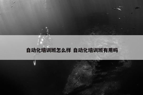 自动化培训班怎么样 自动化培训班有用吗