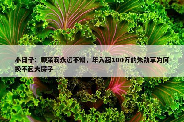 小日子：顾茉莉永远不知，年入超100万的朱劲草为何换不起大房子