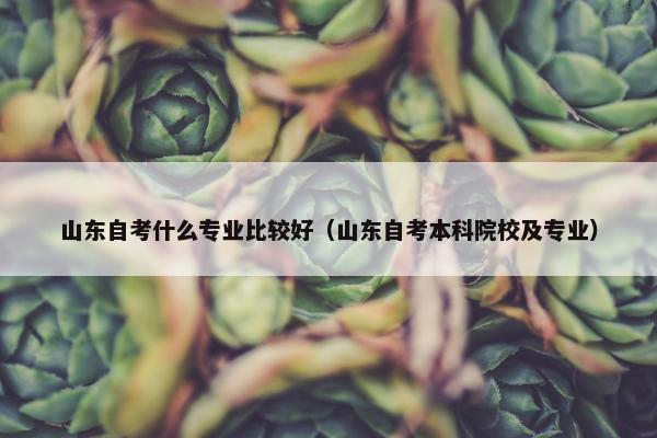 山东自考什么专业比较好（山东自考本科院校及专业）