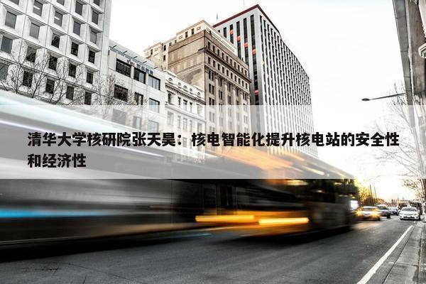 清华大学核研院张天昊：核电智能化提升核电站的安全性和经济性