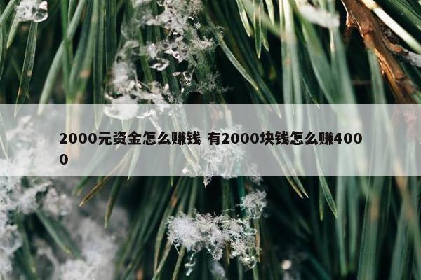 2000元资金怎么赚钱 有2000块钱怎么赚4000