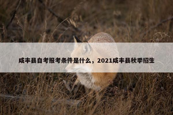 咸丰县自考报考条件是什么，2021咸丰县秋季招生