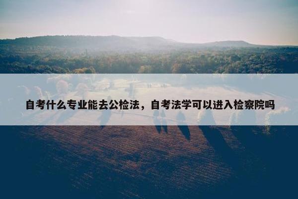 自考什么专业能去公检法，自考法学可以进入检察院吗