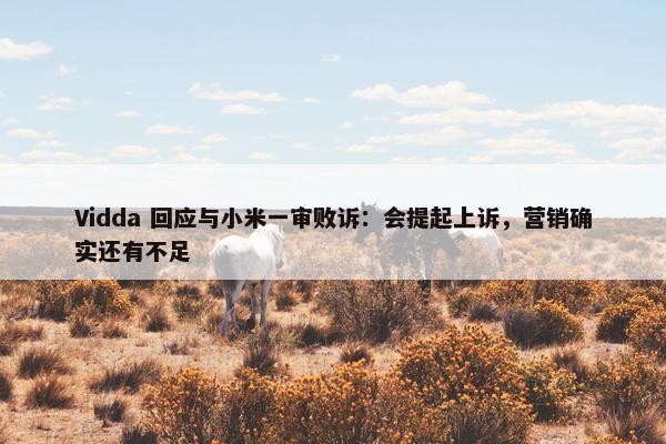 Vidda 回应与小米一审败诉：会提起上诉，营销确实还有不足