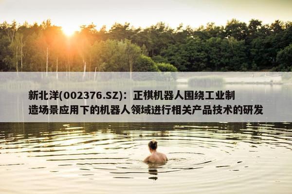 新北洋(002376.SZ)：正棋机器人围绕工业制造场景应用下的机器人领域进行相关产品技术的研发