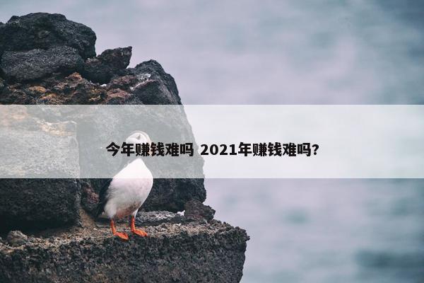 今年赚钱难吗 2021年赚钱难吗?