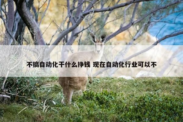 不搞自动化干什么挣钱 现在自动化行业可以不