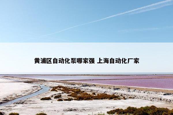 黄浦区自动化泵哪家强 上海自动化厂家