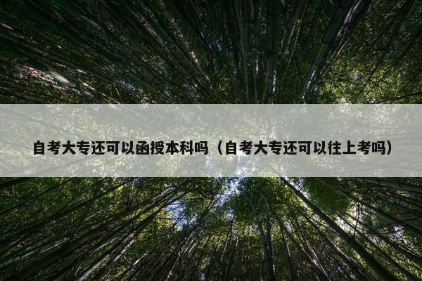 自考大专还可以函授本科吗（自考大专还可以往上考吗）