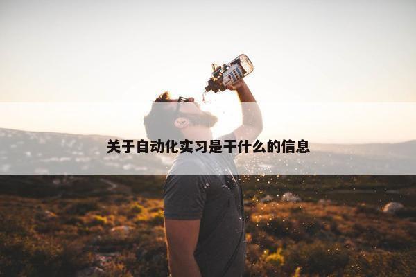 关于自动化实习是干什么的信息