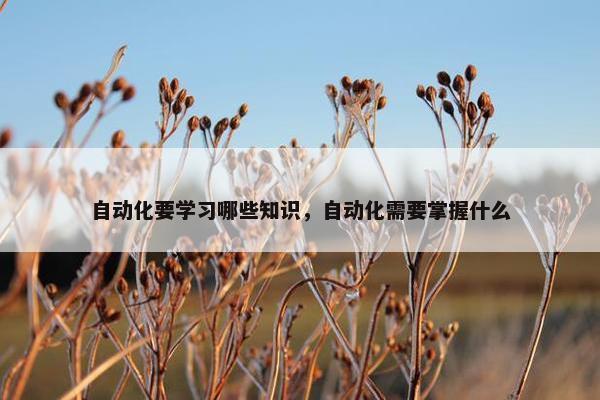 自动化要学习哪些知识，自动化需要掌握什么