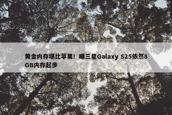 黄金内存堪比苹果！曝三星Galaxy S25依然8GB内存起步