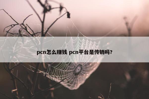 pcn怎么赚钱 pcn平台是传销吗?