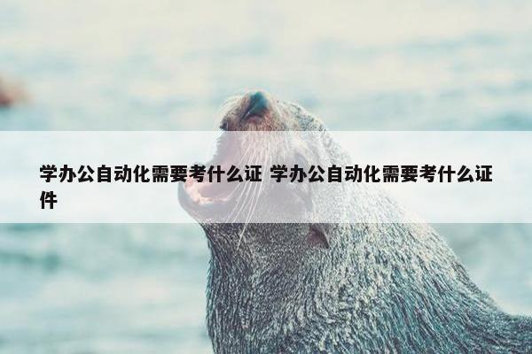 学办公自动化需要考什么证 学办公自动化需要考什么证件