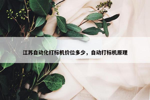 江苏自动化打标机价位多少，自动打标机原理