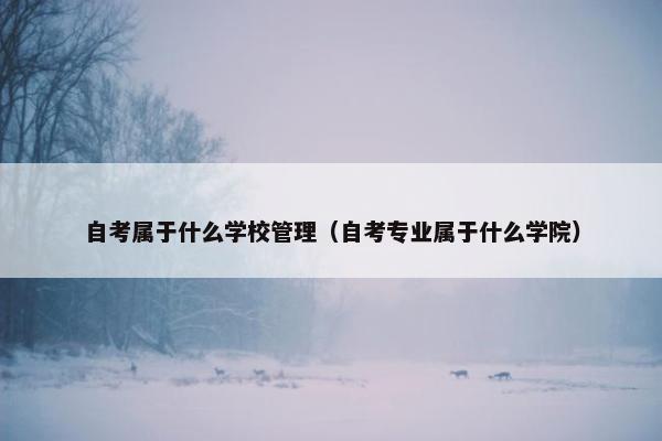 自考属于什么学校管理（自考专业属于什么学院）