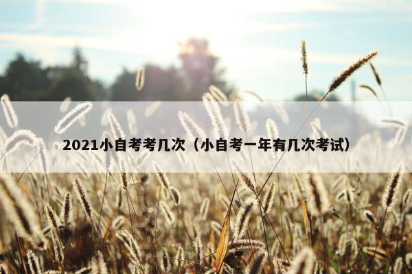 2021小自考考几次（小自考一年有几次考试）