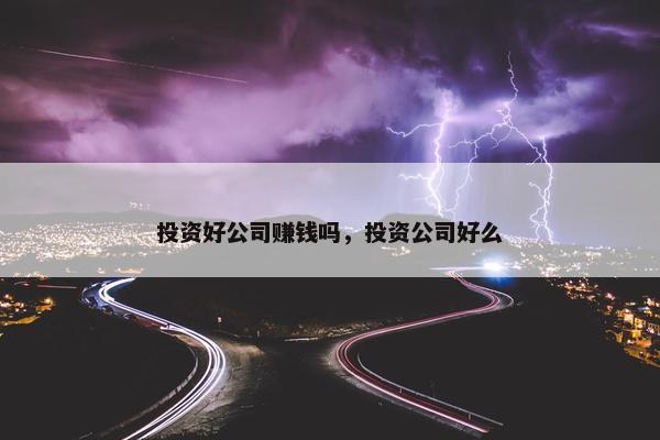 投资好公司赚钱吗，投资公司好么