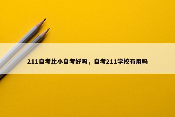 211自考比小自考好吗，自考211学校有用吗