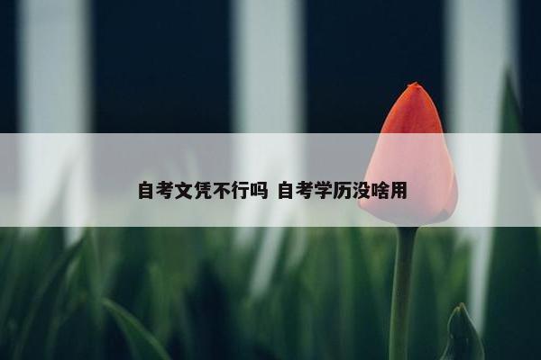 自考文凭不行吗 自考学历没啥用