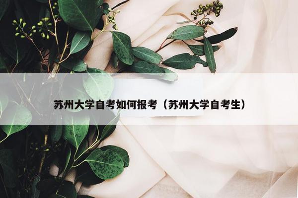 苏州大学自考如何报考（苏州大学自考生）