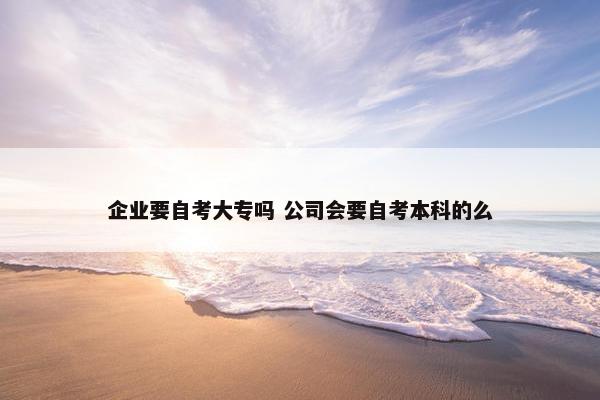 企业要自考大专吗 公司会要自考本科的么