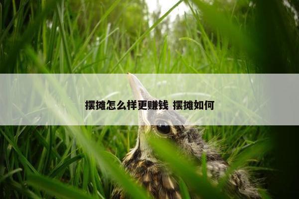 摆摊怎么样更赚钱 摆摊如何