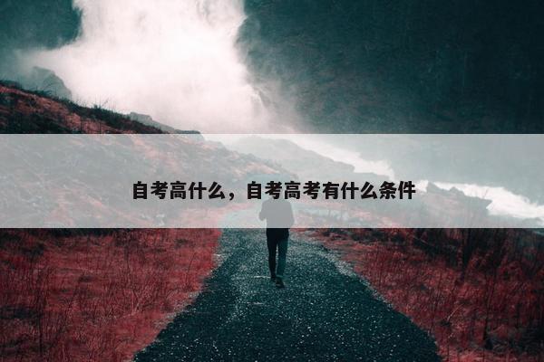 自考高什么，自考高考有什么条件