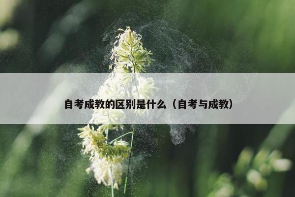 自考成教的区别是什么（自考与成教）