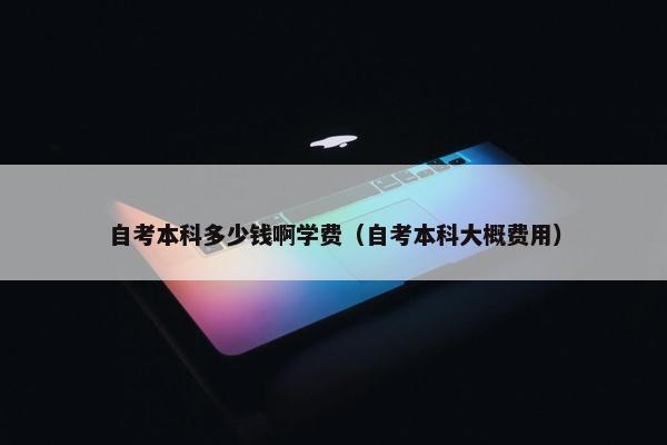 自考本科多少钱啊学费（自考本科大概费用）