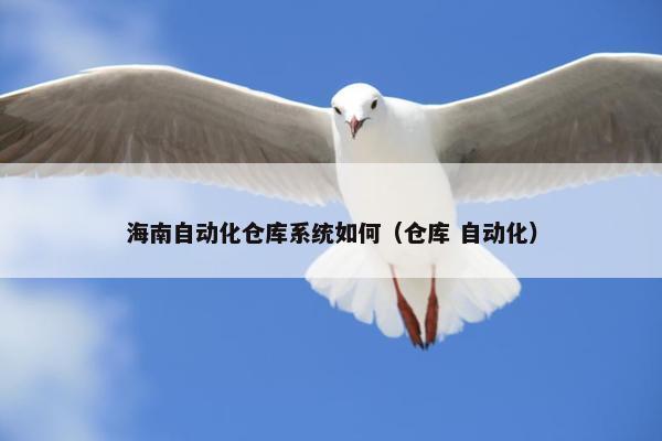 海南自动化仓库系统如何（仓库 自动化）