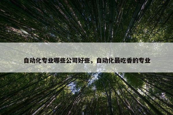 自动化专业哪些公司好些，自动化最吃香的专业