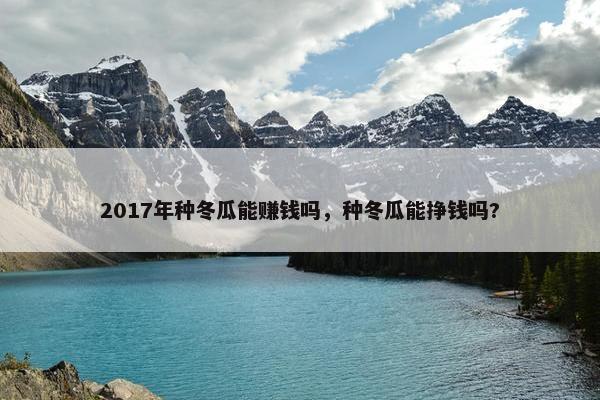 2017年种冬瓜能赚钱吗，种冬瓜能挣钱吗?