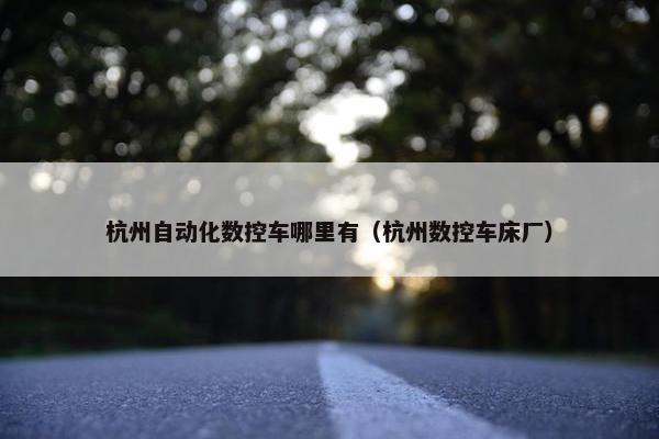 杭州自动化数控车哪里有（杭州数控车床厂）