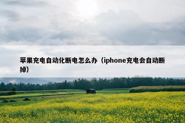 苹果充电自动化断电怎么办（iphone充电会自动断掉）