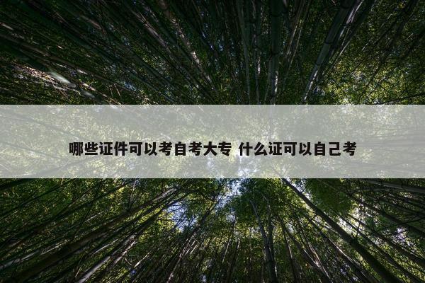 哪些证件可以考自考大专 什么证可以自己考