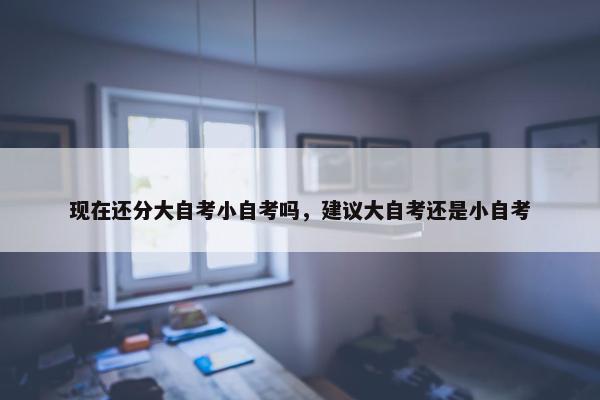 现在还分大自考小自考吗，建议大自考还是小自考